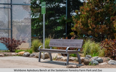 Wishbone Aylesbury Bench at the Saskatoon Forestry Farm Park and Zoo