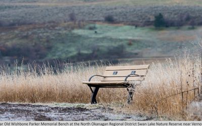 Wishbone Parker Memorial Bench at the Swan Lake Nature Reserve near Vernon BC-2