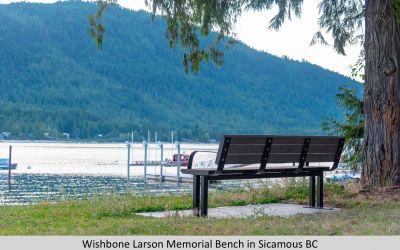 Wishbone Larson Memorial Bench in Sicamous BC